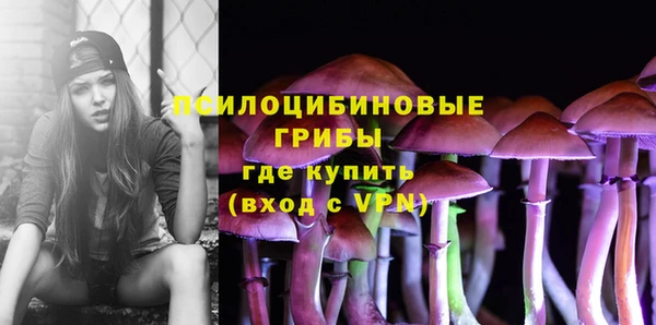 не бодяженный Корсаков