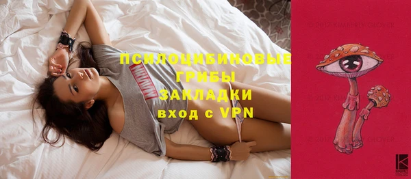 СК Балашиха