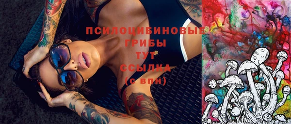 амф Костерёво
