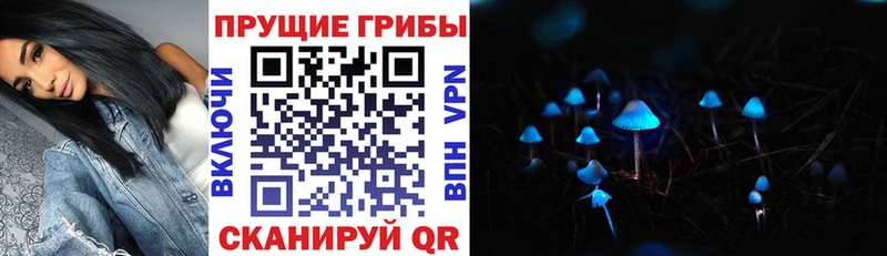 Галлюциногенные грибы Cubensis  Южноуральск 