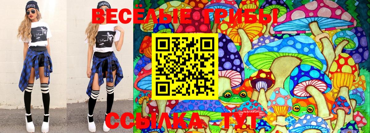 Галлюциногенные грибы GOLDEN TEACHER Южноуральск