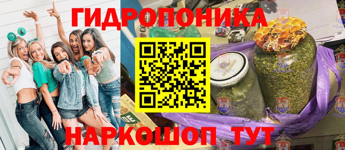 Шишки марихуана тримм  Канабис Bruce Banner  Конопля планчик  Южноуральск  Вход с VPN  МАРИХУАНА ГИДРОПОН 